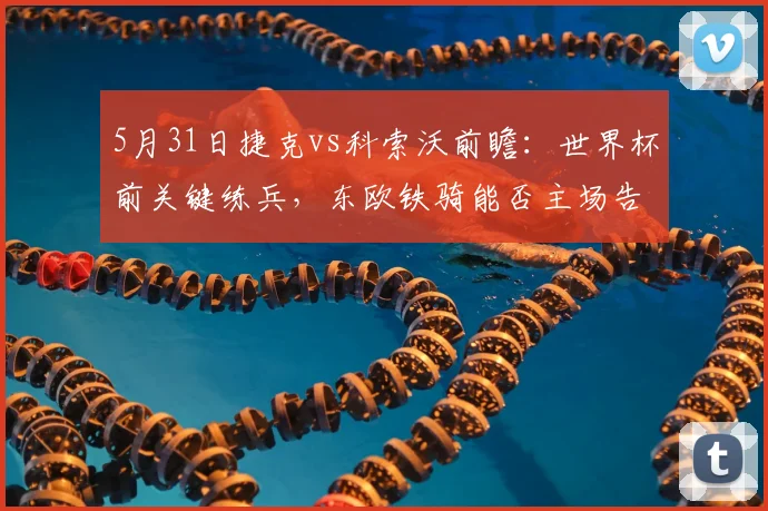 5月31日捷克vs科索沃前瞻:世界杯前关键练兵,东欧铁骑能否主场告捷?