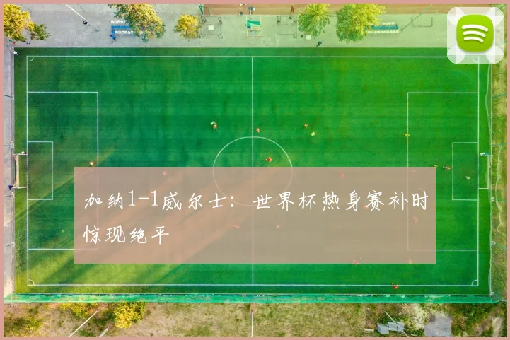 加纳1-1威尔士：世界杯热身赛补时惊现绝平